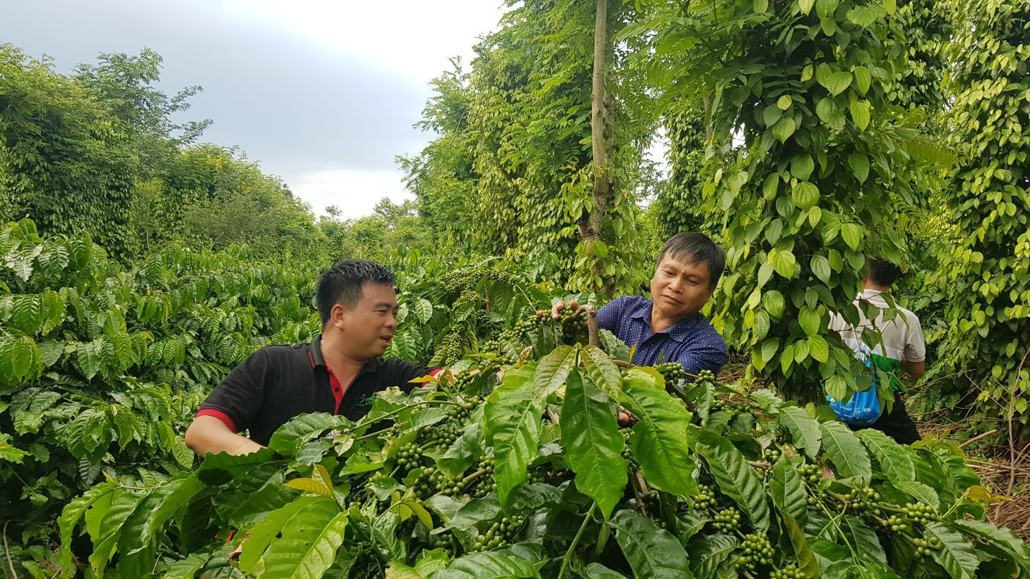 Nguồn: ITN cb1.jpg