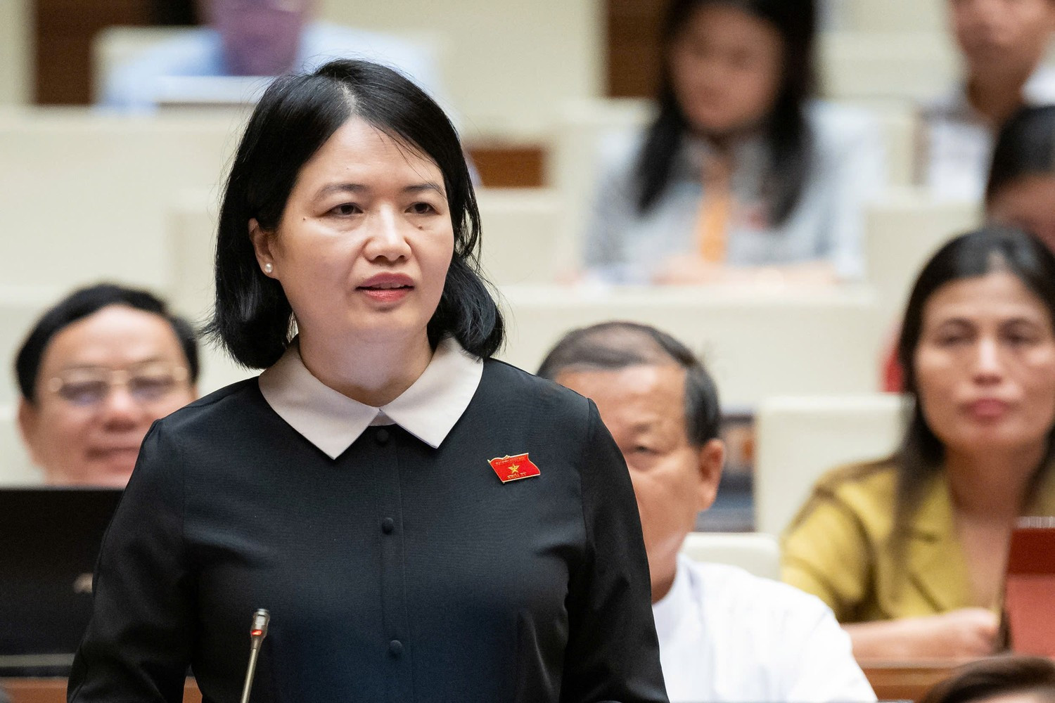 ĐBQH Nguyễn Thị Mai Thoa (Hải Dương) chất vấn. Ảnh: Lâm Hiển nguyen-thi-mai-thoa.jpg