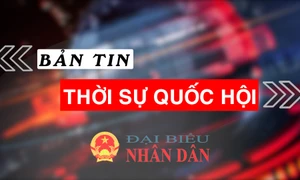 Bản tin Thời sự Quốc hội ngày 11.11.2024