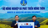 Hàn Quốc trao viện trợ nhân đạo giúp Việt Nam khắc phục thiệt hại do bão lũ