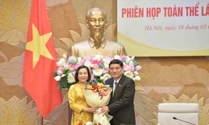 Phó Chủ tịch Quốc hội Nguyễn Thị Thanh dự Phiên họp toàn thể lần thứ nhất của Ủy ban Văn hóa và Xã hội