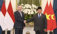 Tổng Bí thư Tô Lâm hội đàm với Tổng thống Indonesia Prabowo Subianto