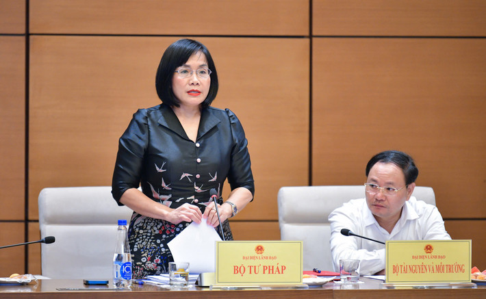 Thứ trưởng Bộ Tư pháp Đặng Hoàng Oanh trình bày các Tờ trình về đề nghị bổ sung các dự án luật, dự thảo Nghị quyết vào Chương trình năm 2024, 2025. Ảnh: Hồ Long ubpl-4-9524-4439.jpg