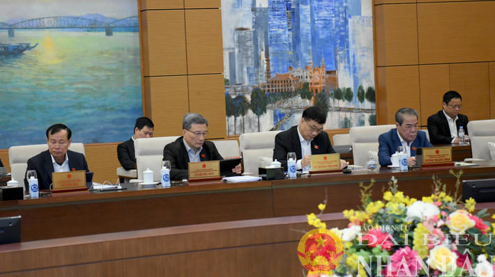 Các đại biểu dự phiên họp. Ảnh: Lâm Hiển dbnd_br_img-0414.jpg