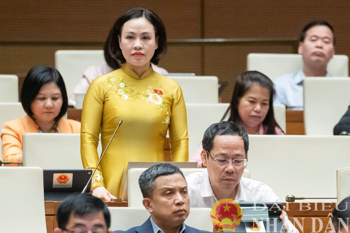 Đại biểu Quốc hội Trần Thị Hồng Thanh (Ninh Bình) chất vấn. Ảnh: Hồ Long dbnd_br_dbqh-tran-thi-hong-thanh-ninh-binh.jpg