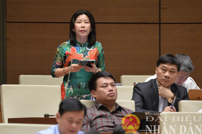 Đại biểu Quốc hội Lê Đào An Xuân (Phú Yên) chất vấn. Ảnh: Hồ Long dbnd_br_dbqh-le-dao-an-xuan-phu-yen.jpg