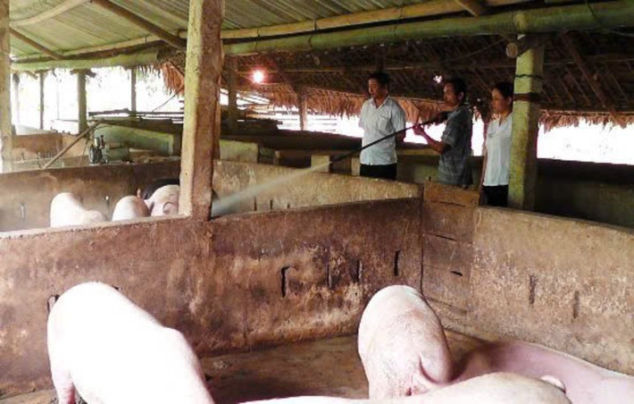 Nông dân huyện Lục Yên sử dụng vốn chính sách đầu tư phát triển kinh tế, giảm nghèo bền vững, cải thiện cuộc sống z6224261644825-f7f855bd62eec973f99ae91d6837eaab.jpg