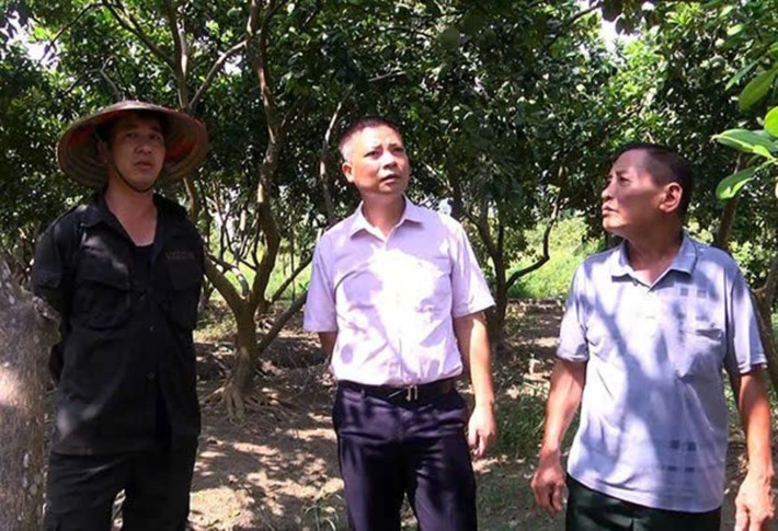 Nông dân huyện Lục Yên sử dụng vốn chính sách đầu tư phát triển kinh tế, giảm nghèo bền vững, cải thiện cuộc sống z6224261639643-51ddbfcc92f0b98e88dcbd7b8f3ef324.jpg