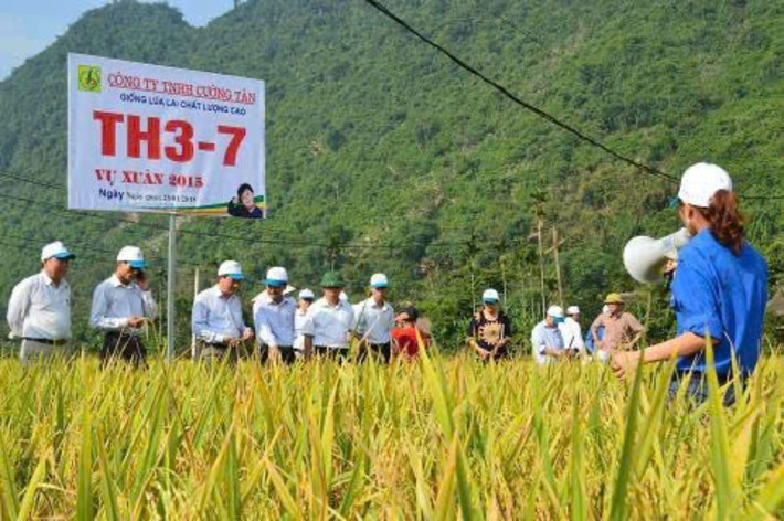 Nông dân huyện Lục Yên sử dụng vốn chính sách đầu tư phát triển kinh tế, giảm nghèo bền vững, cải thiện cuộc sống. Ảnh: Minh Uyên z6224261628987-43881711a6937bc8c5909fbf85f52995.jpg