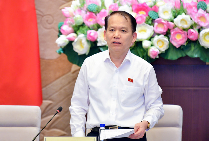 Chủ nhiệm Ủy ban Pháp luật Hoàng Thanh Tùng phát biểu. Ảnh: Hồ Long ubpl-1-6413-1136.jpg