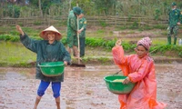 Đồng bào Chứt gieo hạt ngọc trên biên giới 