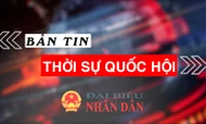 Bản tin Thời sự Quốc hội ngày 20.11.2024 