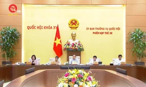 Ủy ban Thường vụ Quốc hội cho ý kiến về dự án Luật Quản lý và đầu tư vốn nhà nước tại doanh nghiệp