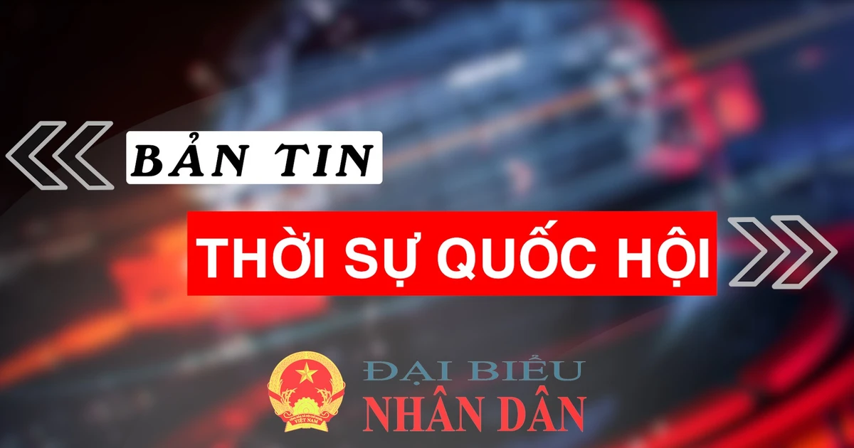 Bản tin Thời sự Quốc hội ngày 07.01.2025