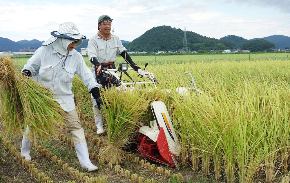 食料安全保障政策のギャップ