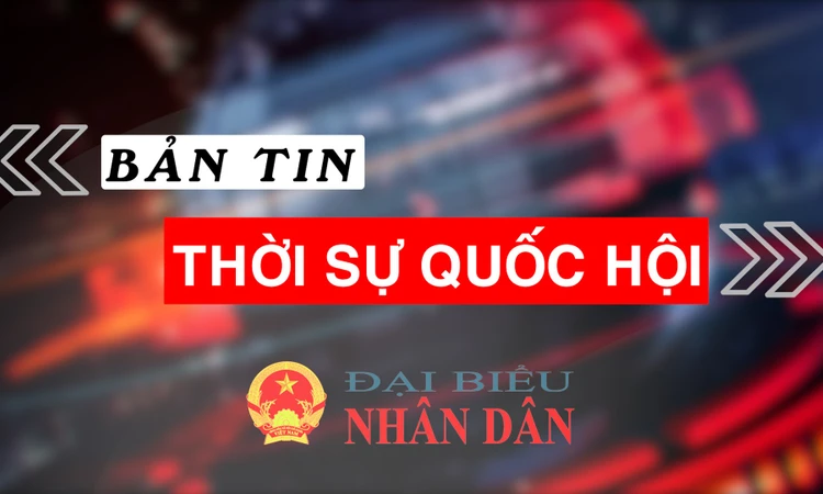 Bản tin Thời sự Quốc hội ngày 20.11.2024 