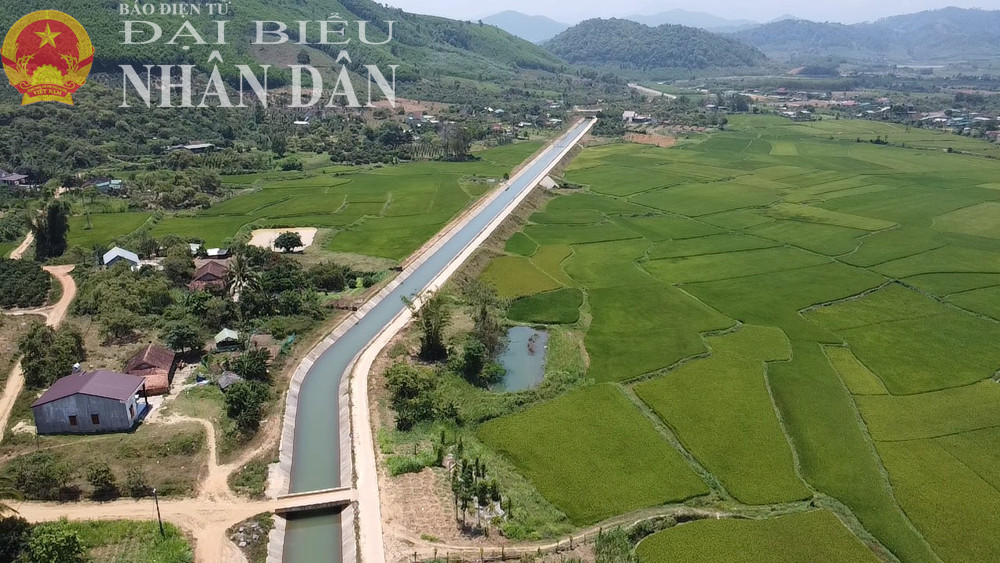 Hệ thống kênh chính Bắc đã phát huy năng lực tưới. Ảnh: Văn Lệ dbnd_tl_2025-04-08-11-17-05-612.png
