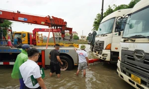 Dồn toàn lực cho công tác giám định, chi trả tạm ứng bồi thường!