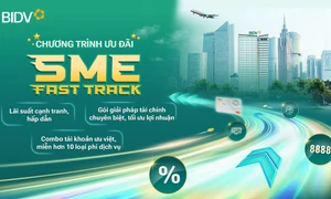 SME Fast Track - Giải pháp hỗ trợ doanh nghiệp bứt phá