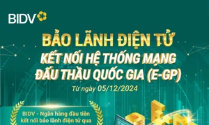 BIDV tiên phong kết nối Mạng đấu thầu quốc gia - Bảo lãnh dự thầu điện tử