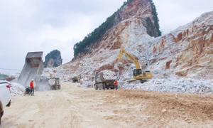 Đoàn ĐBQH tỉnh làm việc với Công ty CP Khoáng sản và Thương mại Trung Hải. 