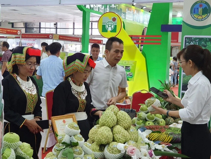 Nhiều sản phẩm của đồng bào dân tộc miền núi đã mở được đường vào hệ thống phân phối có uy tín trên cả nước và xuất khẩu sang thị trường nước ngoài. mien-nui-2-16965595575041996927868.jpg