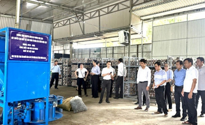Áp dụng quy trình sản xuất bằng máy móc, sản phẩm đầu ra đáp ứng vệ sinh an toàn thực phẩm ttt20240815220824 (1).jpg