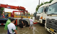 Dồn toàn lực cho công tác giám định, chi trả tạm ứng bồi thường!