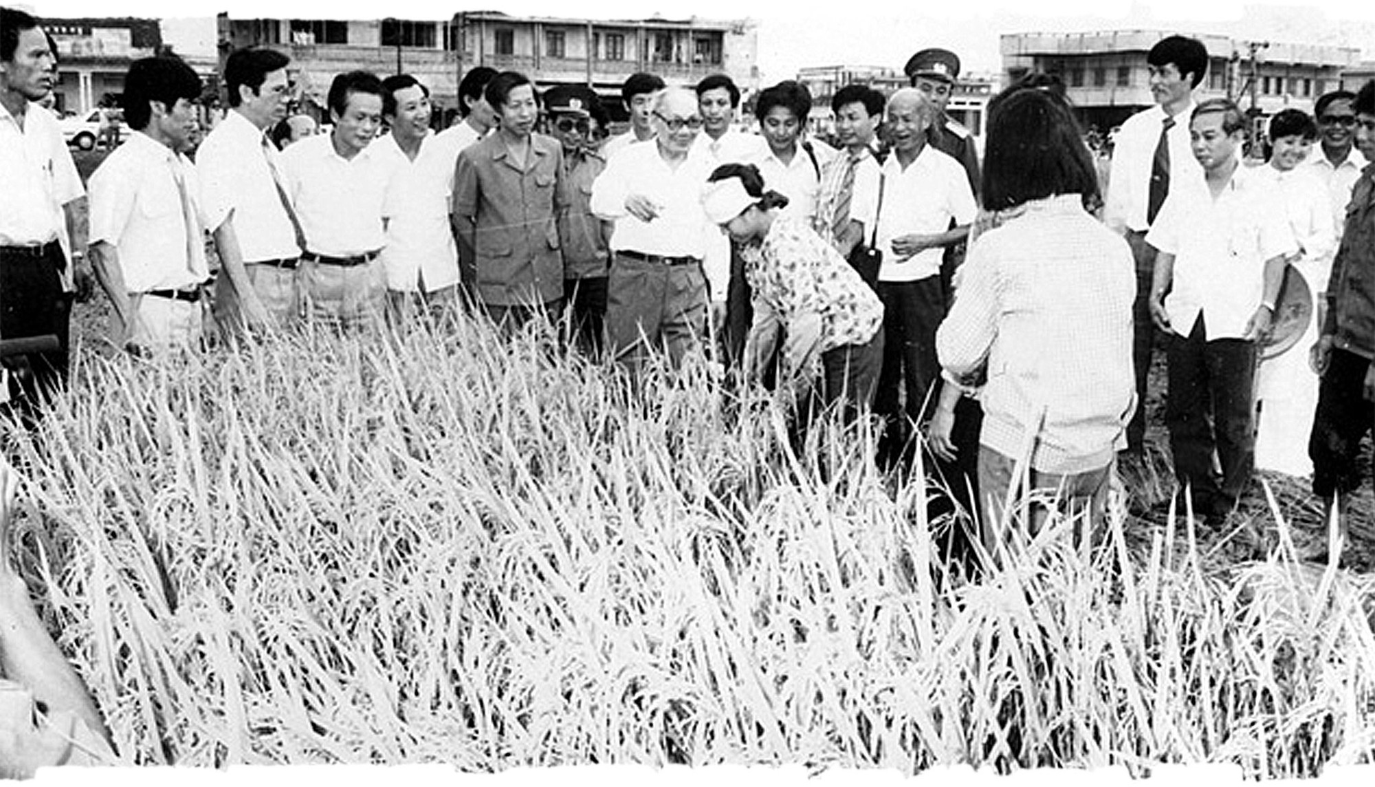 Đóng góp của đồng chí Võ Chí Công trong đổi mới hoạt động của Hội đồng Nhà nước và Quốc hội ảnh 7 Đóng góp của đồng chí Võ Chí Công trong đổi mới hoạt động của Hội đồng Nhà nước và Quốc hội -0