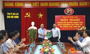 Ông Hà Huy Quang giữ chức vụ Phó trưởng Ban Nội chính Tỉnh ủy