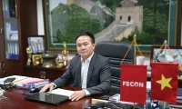 Năm “ảm đạm” của FECON