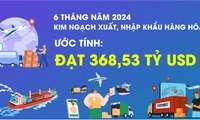 6 tháng năm 2024, tổng kim ngạch xuất, nhập khẩu đạt 368,53 tỷ USD