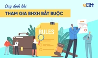 Mức đóng bảo hiểm xã hội bắt buộc, bảo hiểm xã hội tự nguyện năm 2024?