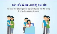 Người tham gia bảo hiểm xã hội tự nguyện được hưởng chế độ thai sản