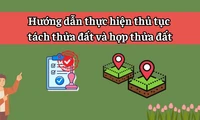 Đất đang tranh chấp có được tách thửa không?