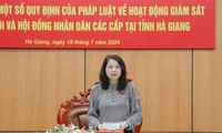 Ủy ban Pháp luật khảo sát việc thực hiện pháp luật về hoạt động giám sát của Quốc hội và HĐND