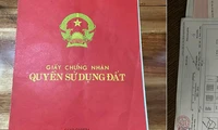 Người dưới 15 tuổi có được đứng tên trên Giấy Chứng nhận quyền sử dụng đất không?