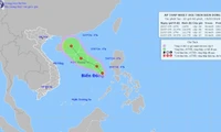 Xuất hiện áp thấp nhiệt đới trên Biển Đông, các địa phương sẵn sàng ứng phó