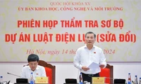 Thẩm tra sơ bộ dự án Luật Điện lực (sửa đổi)