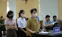 Nâng khống thiết bị trường học, giám đốc doanh nghiệp lĩnh án