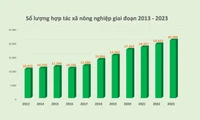 Thực trạng hợp tác xã nông nghiệp tại Việt Nam