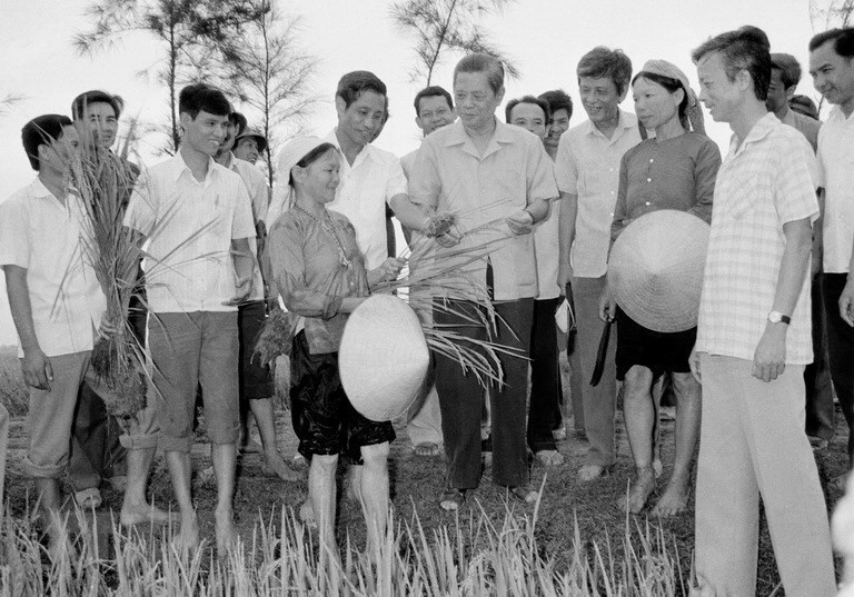 Tổng Bí thư Nguyễn Văn Linh thăm cánh đồng lúa HTX Hải Vân, huyện Hải Hậu, tỉnh Hà Nam Ninh tháng 5/1988. Ảnh: TTXVN 5-tong-bi-thu-nguyen-van-linh-tham-hxt-xa-hai-van-huyen-hai-hau-tinh-ha-nam-ninh-nam-1988-258.jpg