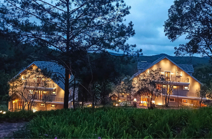 lavender-da-lat-2.jpg