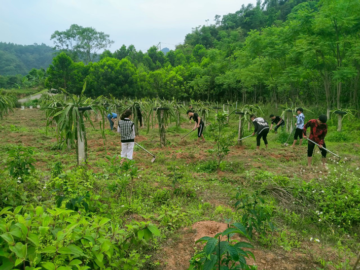 Học viên tham gia thực hành nghề nông nghiệp. Ảnh: Minh Hà img-4482.png