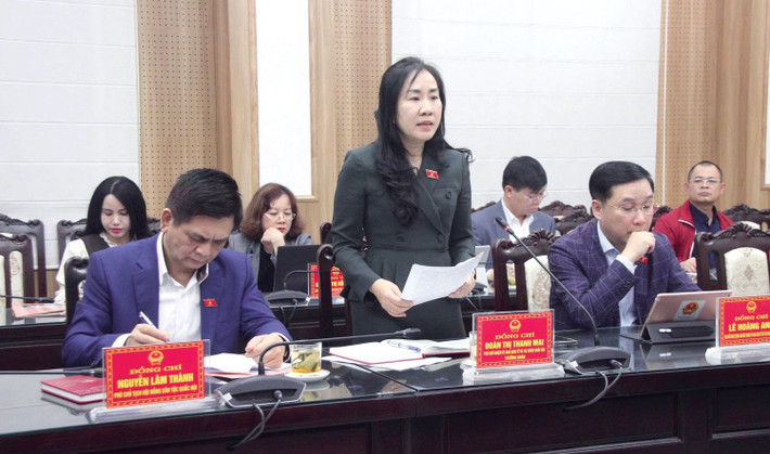 Phó Chủ nhiệm Ủy ban Kinh tế và Tài chính Đoàn Thị Thanh Mai phát biểu ks1.jpg