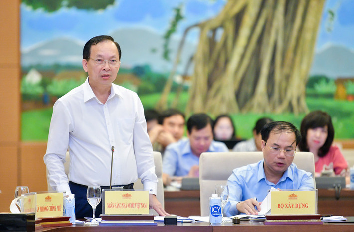 Phó Thống đốc Ngân hàng Nhà nước Việt Nam Đào Minh Tú phát biểu. Ảnh: Hồ Long Phó Thống đốc NHNN VN Đào Minh Tú.jpg