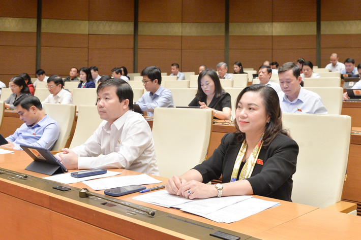 Các đại biểu Quốc hội dự phiên họp. Ảnh: Hồ Long qh012.jpg