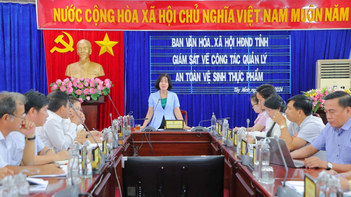 Toàn cảnh cuộc giám sát. Ảnh: Lê Thủy h1.jpg