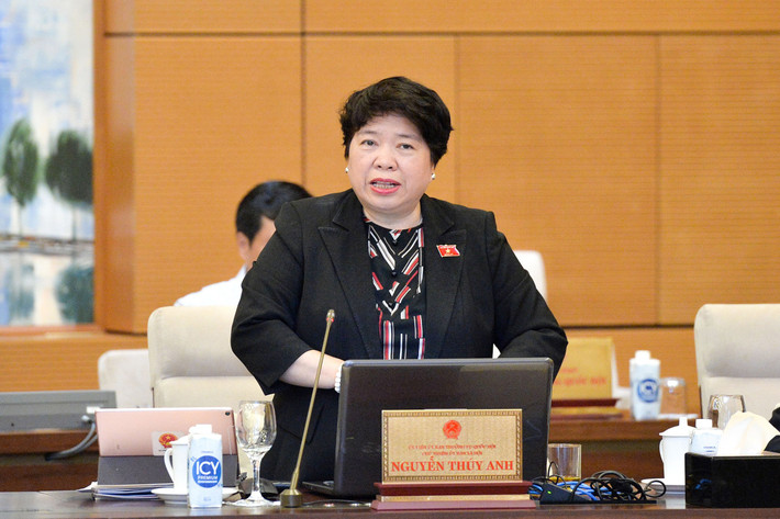 Chủ nhiệm Ủy ban Xã hội Nguyễn Thúy Anh phát biểu. Ảnh: Hồ Long ub8.jpg