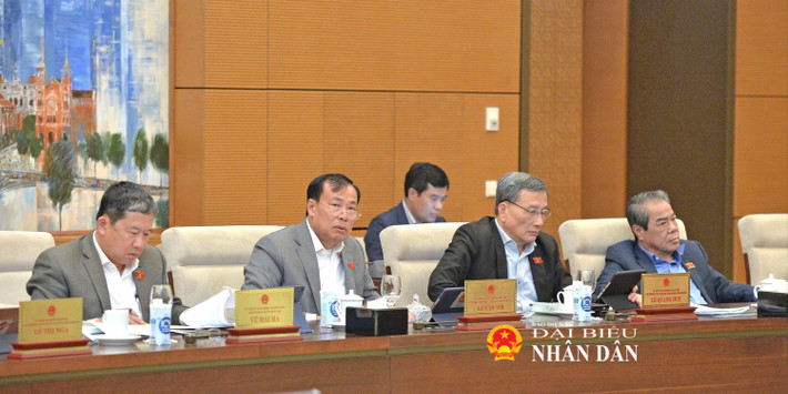 Các đại biểu dự phiên họp. Ảnh: Hồ Long tv-chieu4-7338.jpg